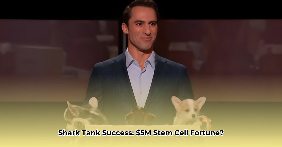 gallant-stem-cell-net-worth